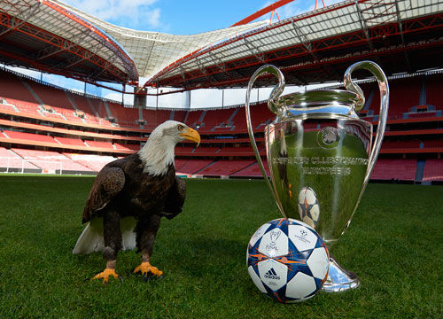 高压情境下 高压情境下