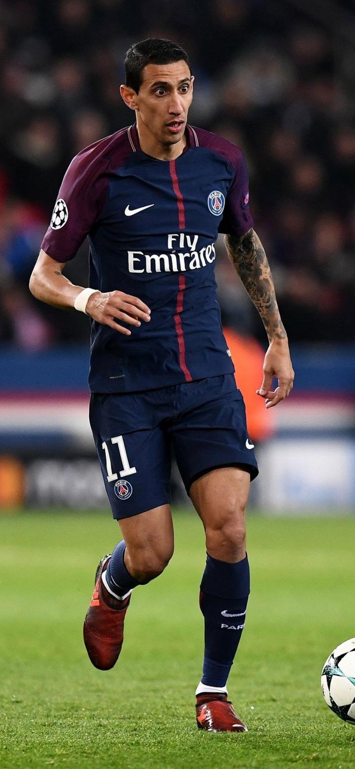 牛完全对称 牛完全对称